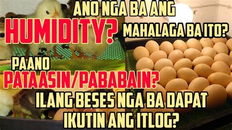 humid in Tagalog .
